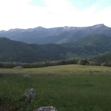 Värdshus Casa Molleda