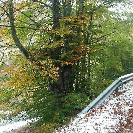 Casa Molleda Värdshus Pejanda