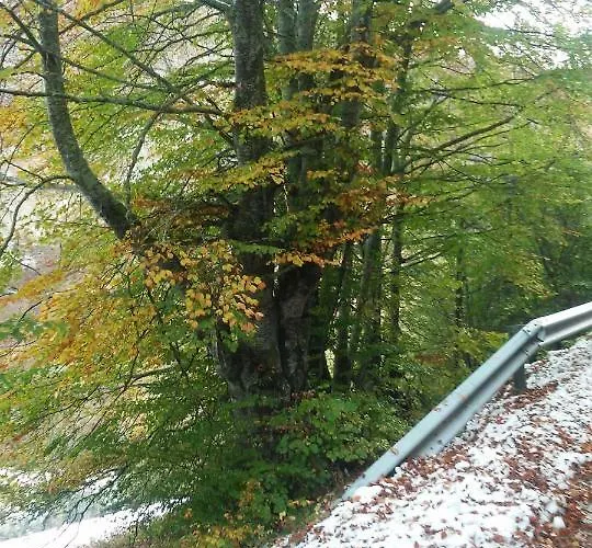 Casa Molleda Locanda Pejanda