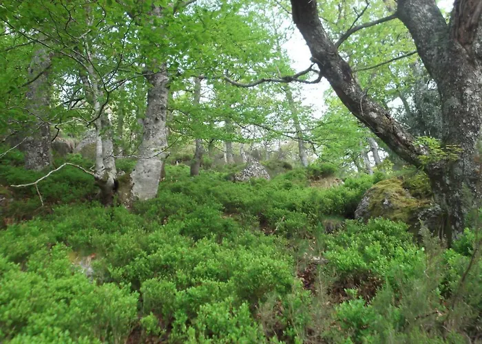 Locanda Casa Molleda Pejanda